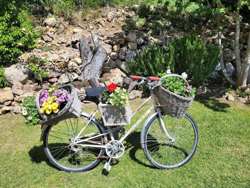 Villa Les Palmiers En Provence Besse-sur-Issole Zewnętrze zdjęcie